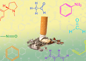 NicoZero blocca la sensibilità dei recettori per la nicotina